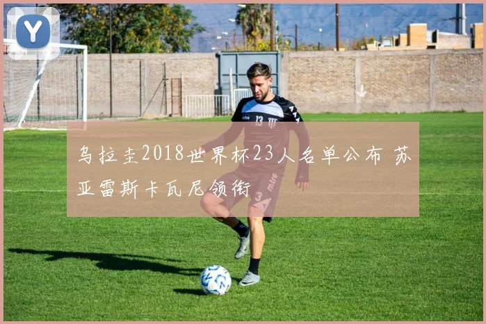 乌拉圭2018世界杯23人名单公布 苏亚雷斯卡瓦尼领衔