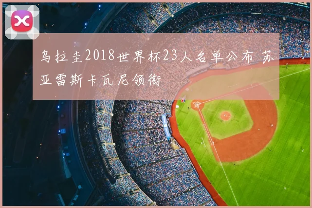 乌拉圭2018世界杯23人名单公布 苏亚雷斯卡瓦尼领衔