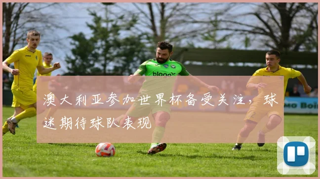 澳大利亚参加世界杯备受关注,球迷期待球队表现